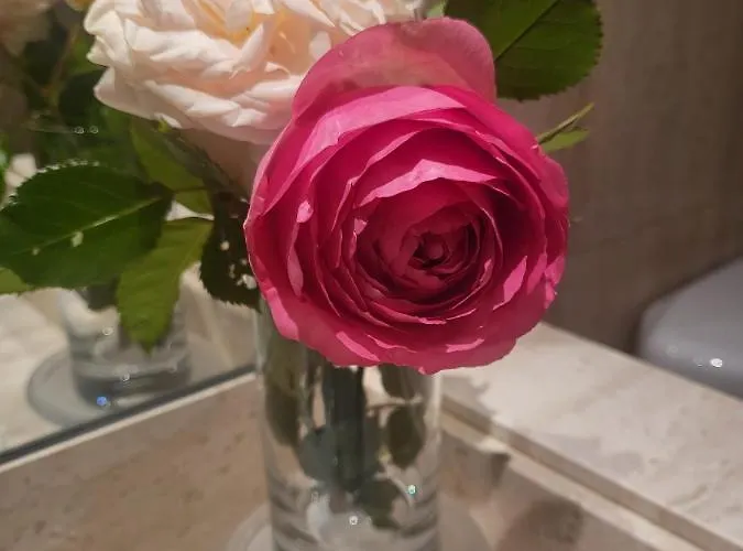 Apartment Vacare - Sabor A Mar Santander